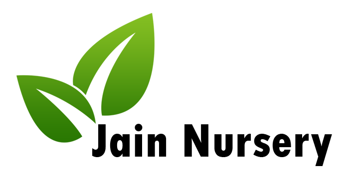 Jain Nursery